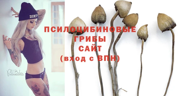 герыч Алексин