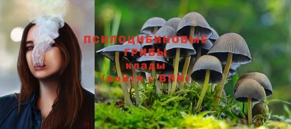 герыч Алексин