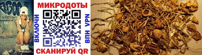 Галлюциногенные грибы Magic Shrooms Любань